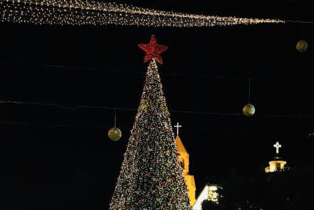 Albero di Natale in piazza a Betlemme