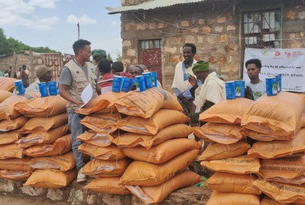 react shire tigray 2