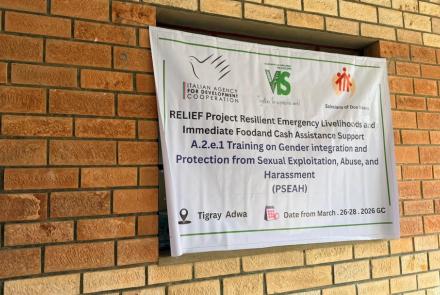 progetto relief attività pseah 3