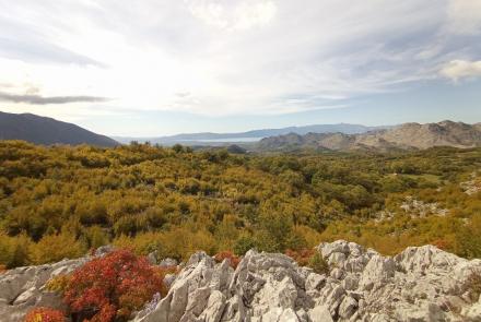 naturalbania 2